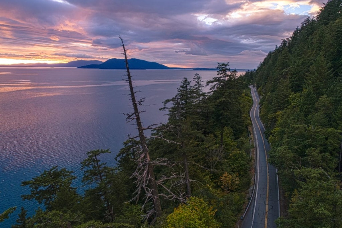 Peaceful water and wooded shoreline in Whatcom County